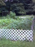 Free Garden Plots for KentSuites Tenants - 10' x 10' plots